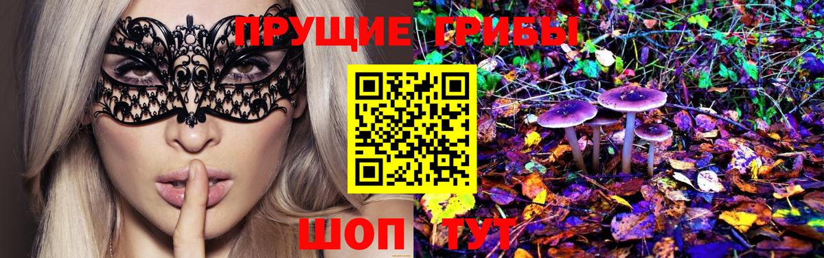 Вязьма  Псилоцибиновые грибы GOLDEN TEACHER  Галлюциногенные грибы мицелий  Вход с VPN 